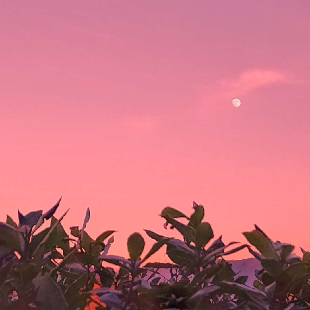 Featured image for ICAAP